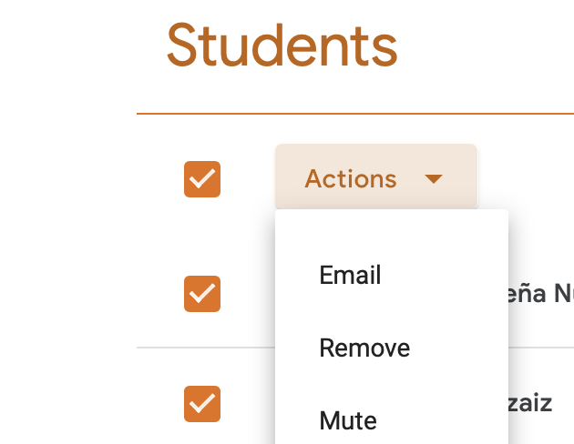 Google Classroom People Tab email